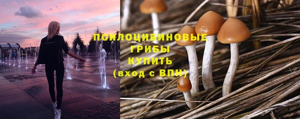 ECSTASY Краснотурьинск