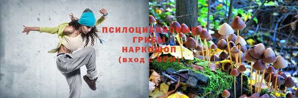 стафф Краснослободск
